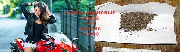 каннабис Алзамай