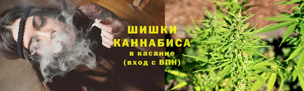 каннабис Алзамай