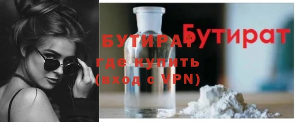 индика Сатка