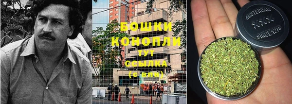 каннабис Алзамай