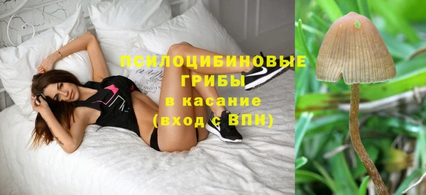 каннабис Алзамай